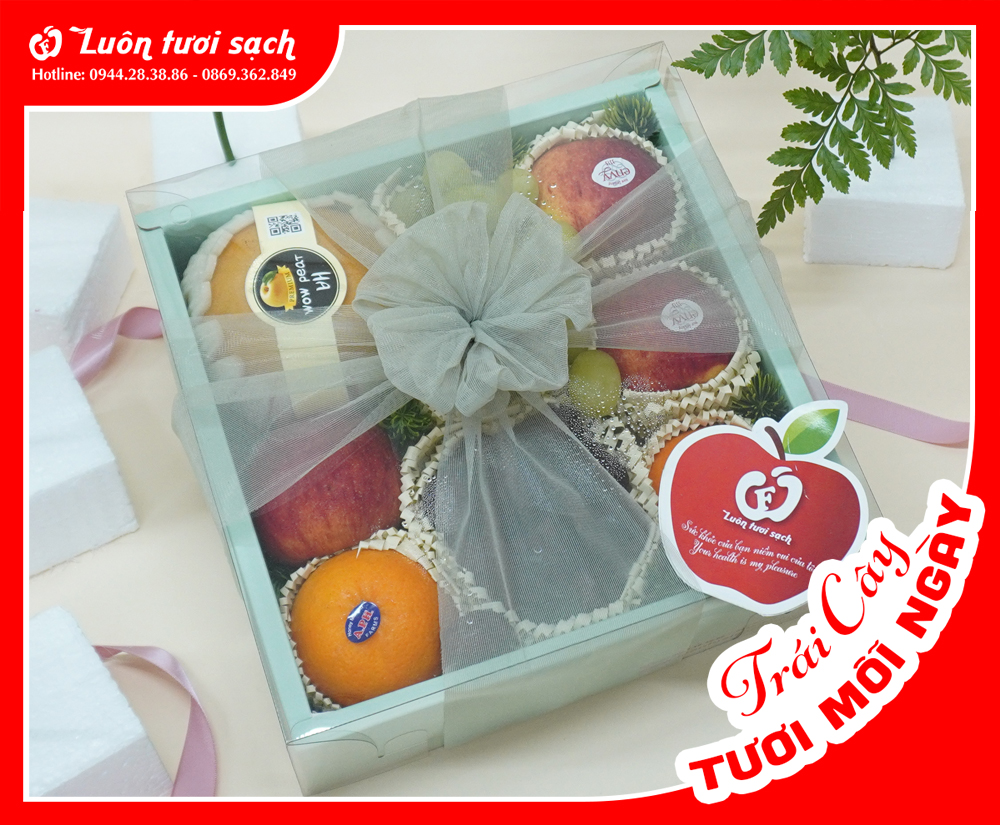 TC58 -  Hộp quà hoa quả nhập khẩu